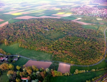 Le bois de Maroeuil vu du ciel par magiC balloOns